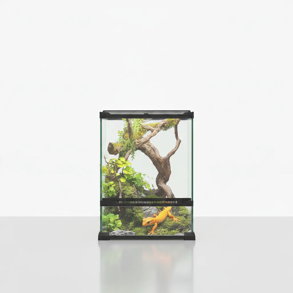 Terrarium Panoramique Verre 360° pour Reptiles