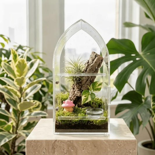 Terrarium Acrylique Transparent pour Reptiles et Insectes