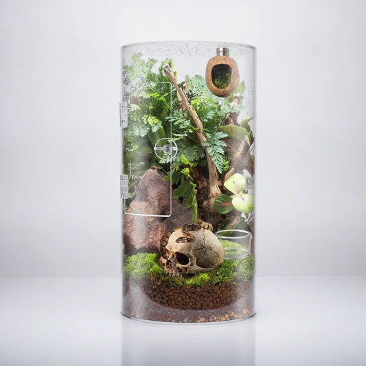 Terrarium Cylindrique Brun Foncé pour Petits Reptiles