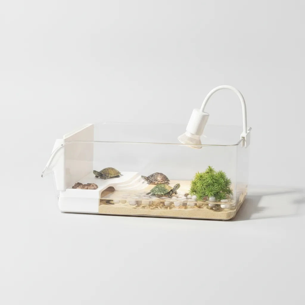 Terrarium Modulable Reptiles avec Zone Bain de Soleil
