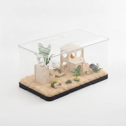 Terrarium Transparent pour Reptiles et Amphibiens