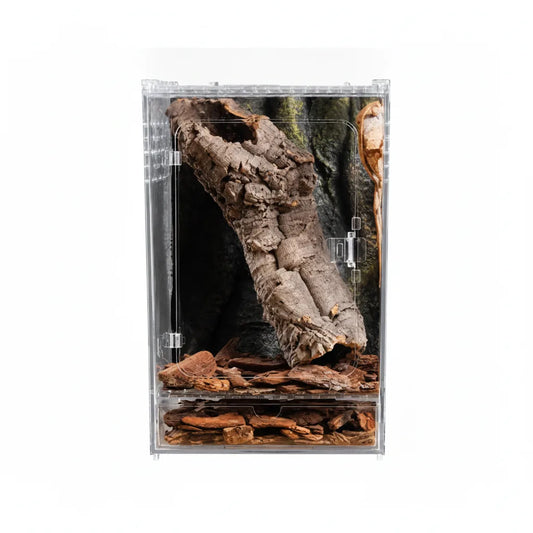Terrarium Acrylique Transparent pour Reptiles et Insectes