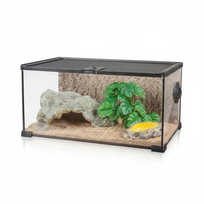 Terrarium Magnétique Verre Forêt Tropicale Reptiles