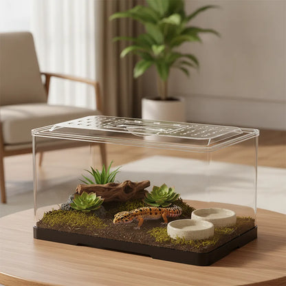 Terrarium Transparent pour Reptiles et Amphibiens