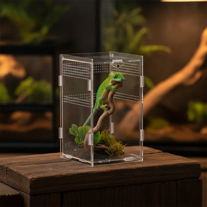 Terrarium Acrylique Transparent pour Reptiles et Nanos