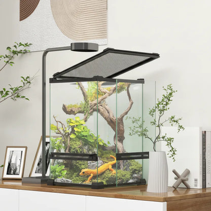 Terrarium Panoramique Verre 360° pour Reptiles