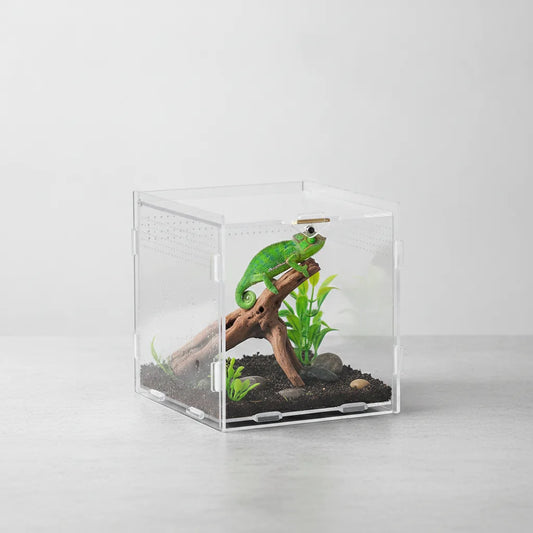 Terrarium Acrylique Transparent pour Reptiles et Nanos